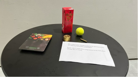 swillusion